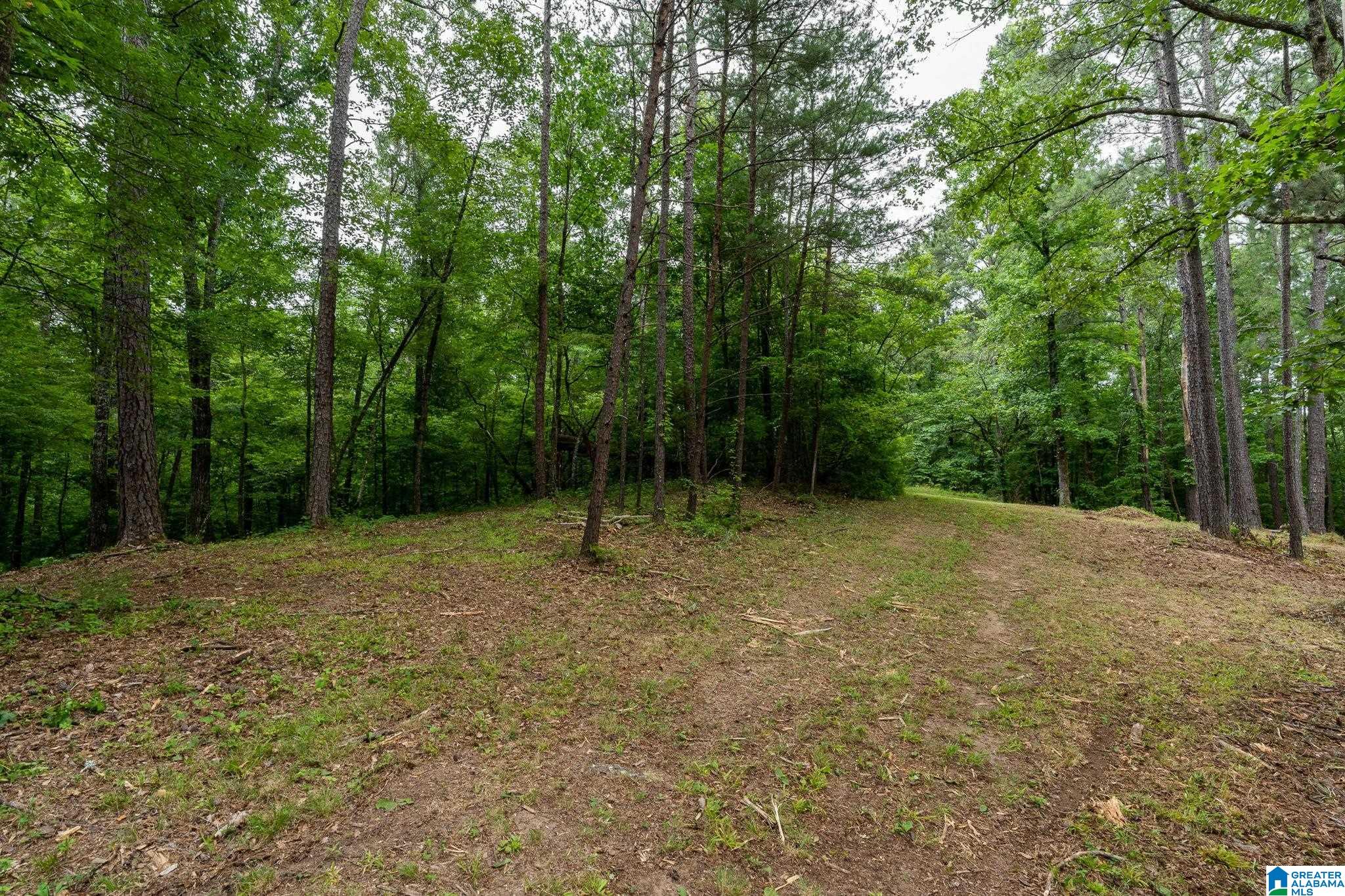 174 Martin Lane, Unit 1A Helena, AL 35080 - Photo 6 of 19