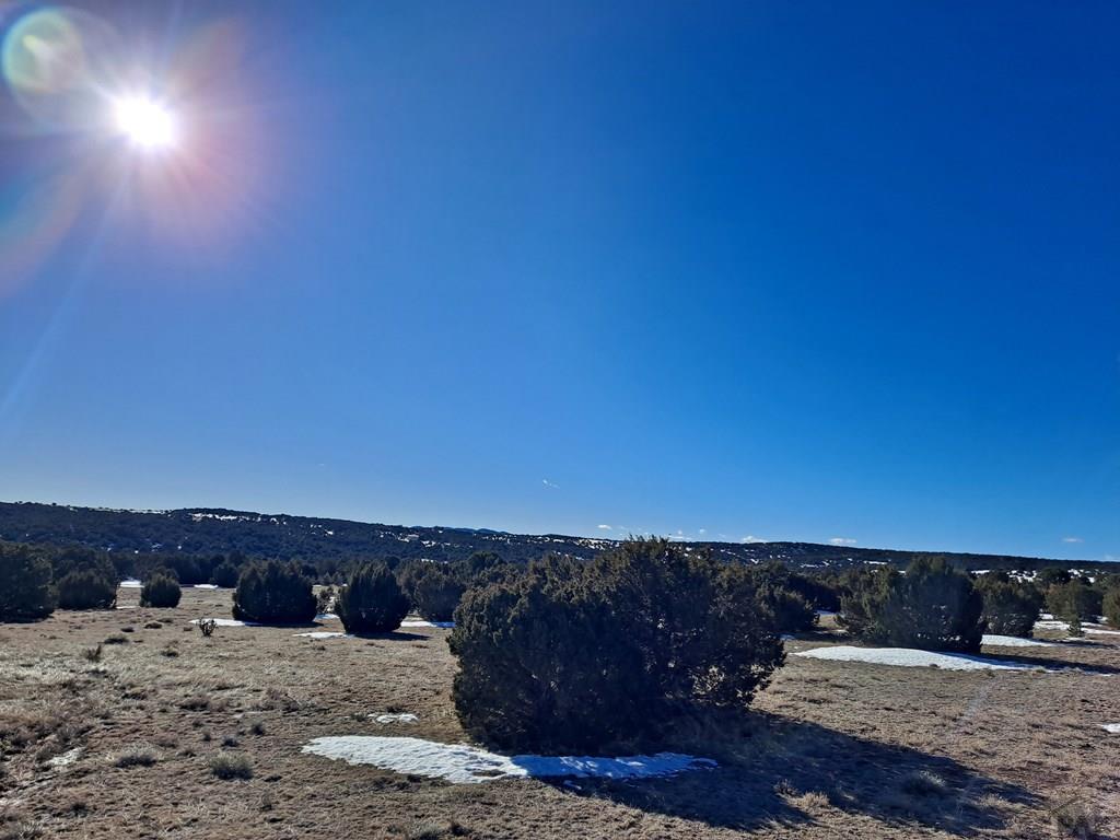 Tbd Rowell Road Walsenburg, CO 81089 - Photo 8 of 12 Gallery Image 8