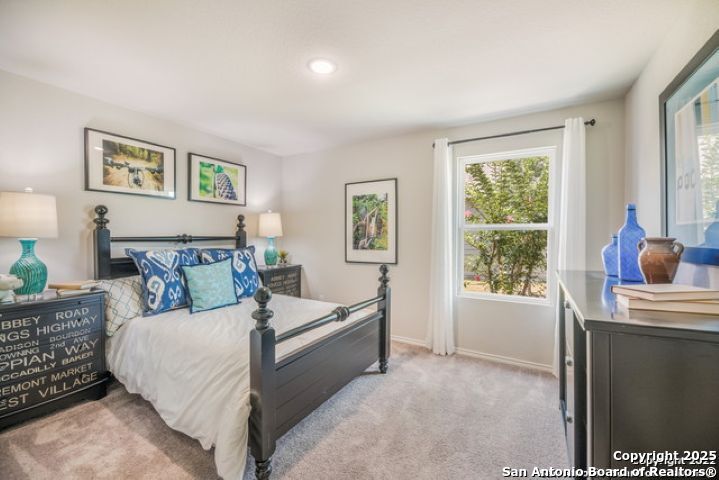 212 Agave Circle Jourdanton, TX 78026 - Photo 20 of 22