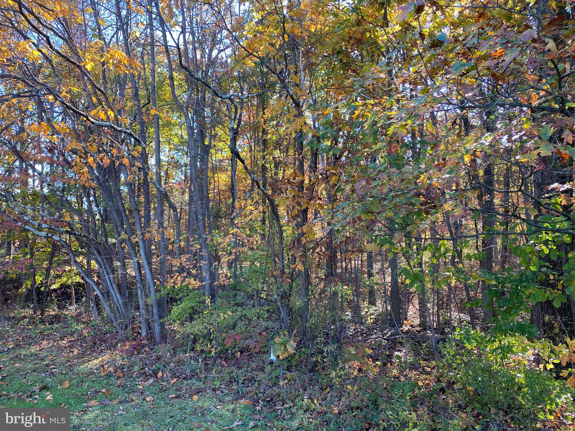 3116 Finland Road Pennsburg, PA 18073 - Photo 4 of 7