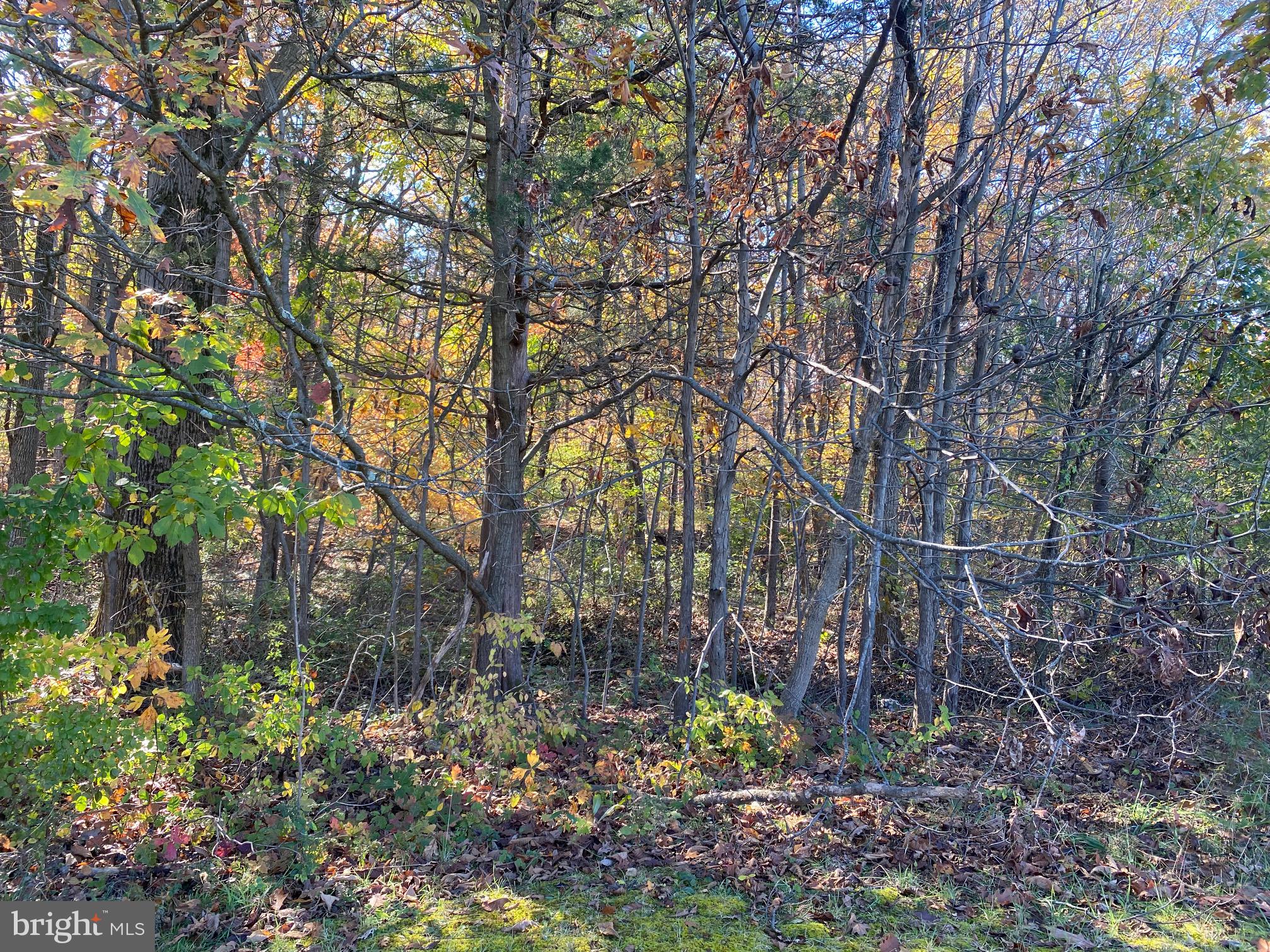 3116 Finland Road Pennsburg, PA 18073 - Photo 5 of 7