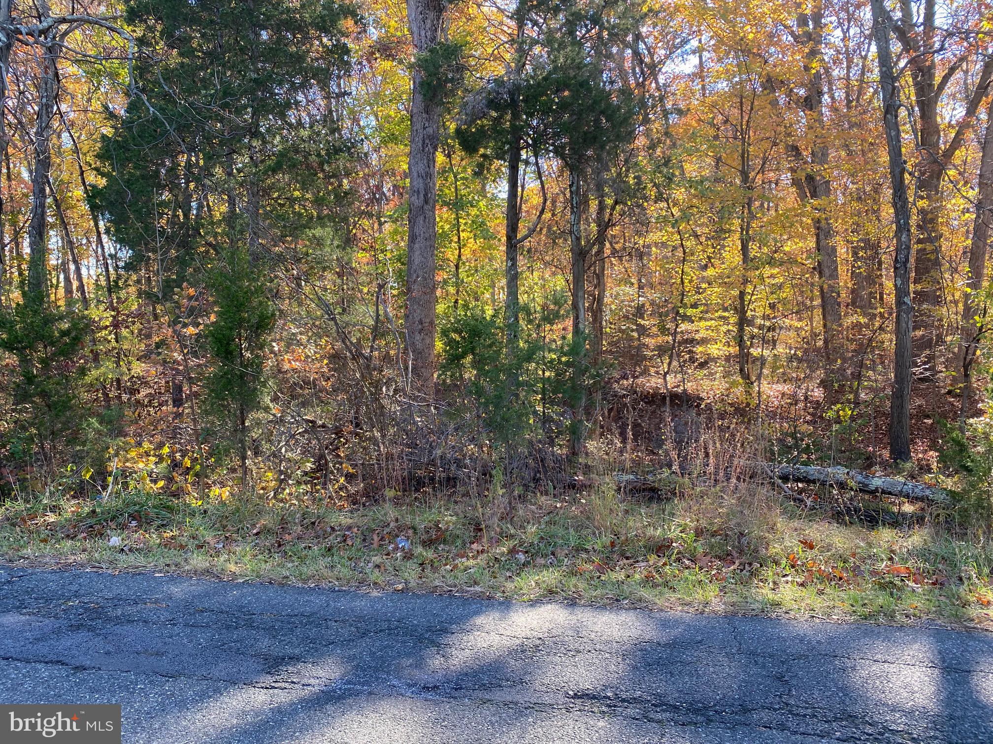 3116 Finland Road Pennsburg, PA 18073 - Photo 6 of 7