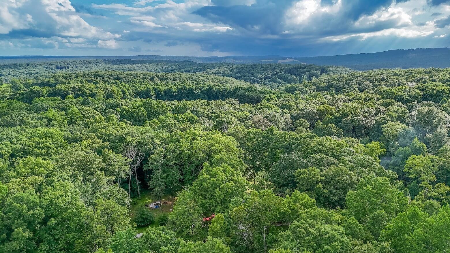 237 Chestnut Ridge Road Spring City, TN 37381 - Photo 3 of 82