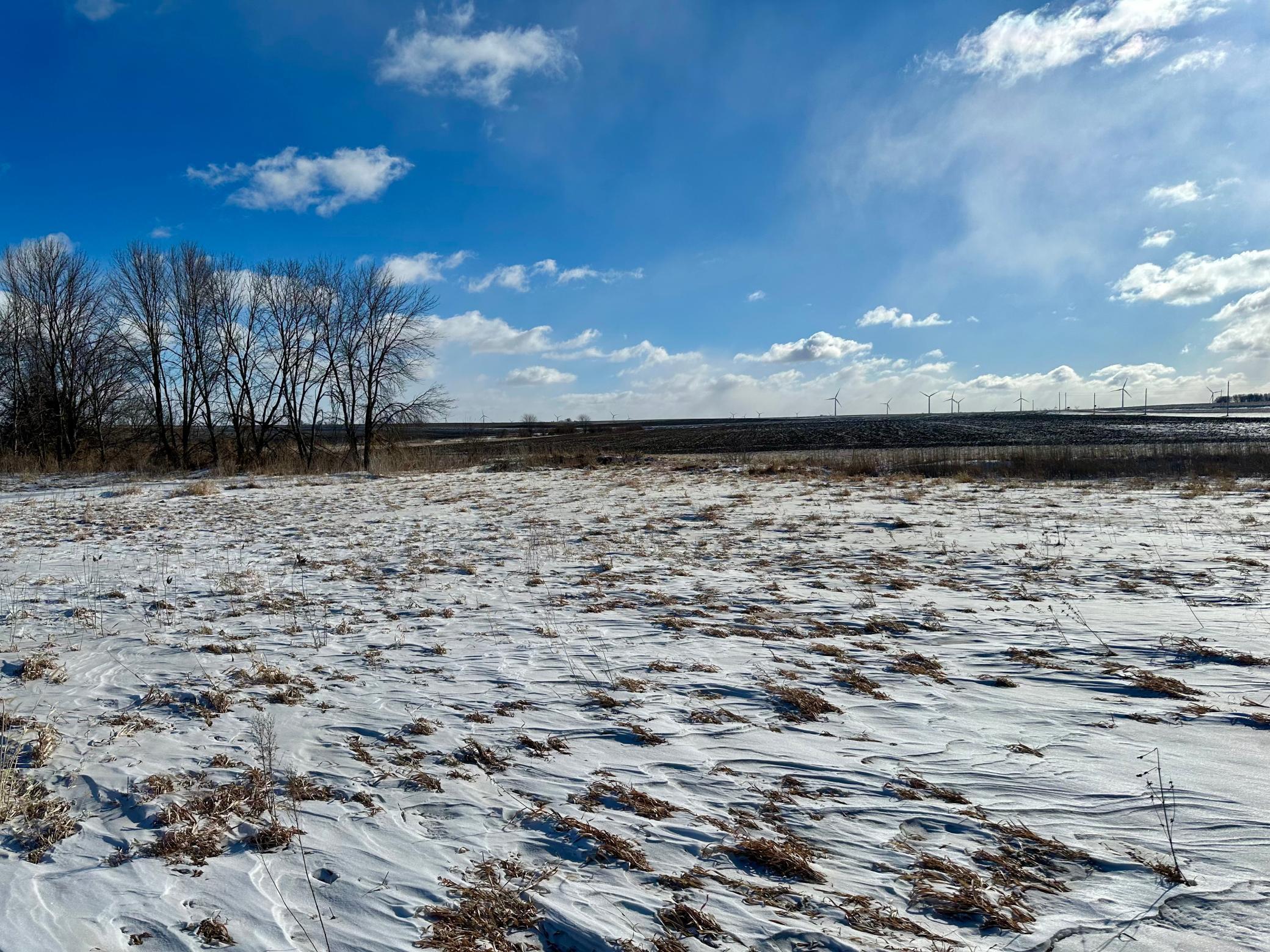 4684 Elm Avenue Riceville, IA 50466 - Photo 22 of 44