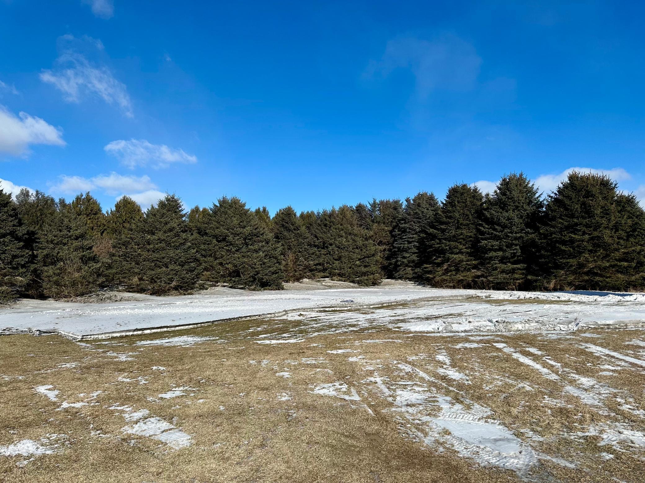 4684 Elm Avenue Riceville, IA 50466 - Photo 25 of 44