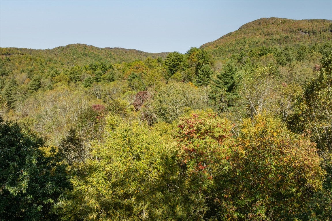 497 Tower Road Sapphire, NC 28774 - Photo 67 of 71 Gallery Image 67