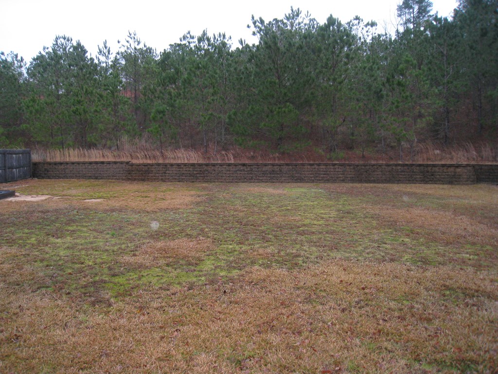 1278 Freedom Ridge Drive Columbus, GA 31907 - Photo 8 of 36 BACK YARD