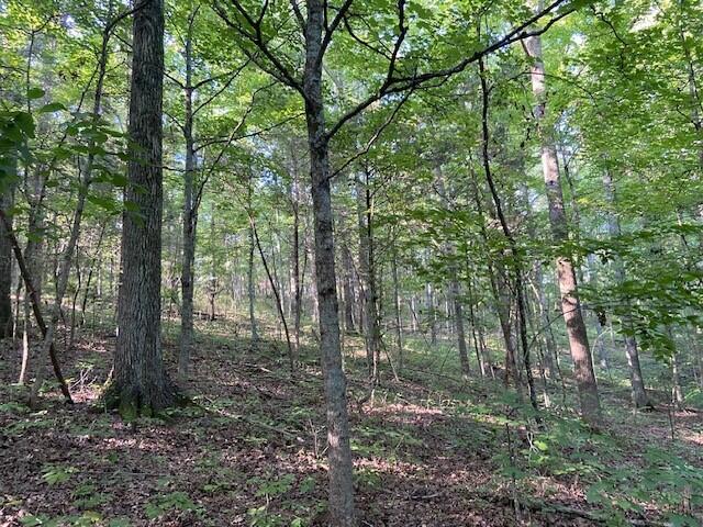 999 Harding Road Mount Olivet, KY 41064 - Photo 12 of 19 Gallery Image 12