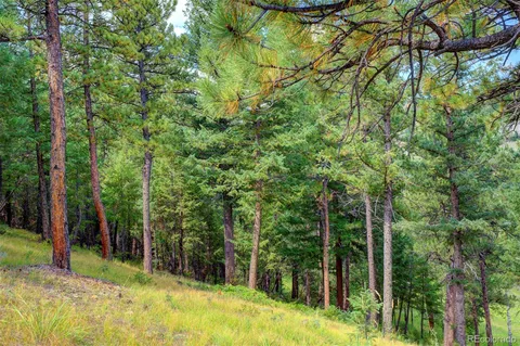 $565,000 | 3325 Timbergate Trail, Evergreen, CO 80439