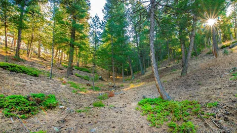 $565,000 | 3325 Timbergate Trail, Evergreen, CO 80439