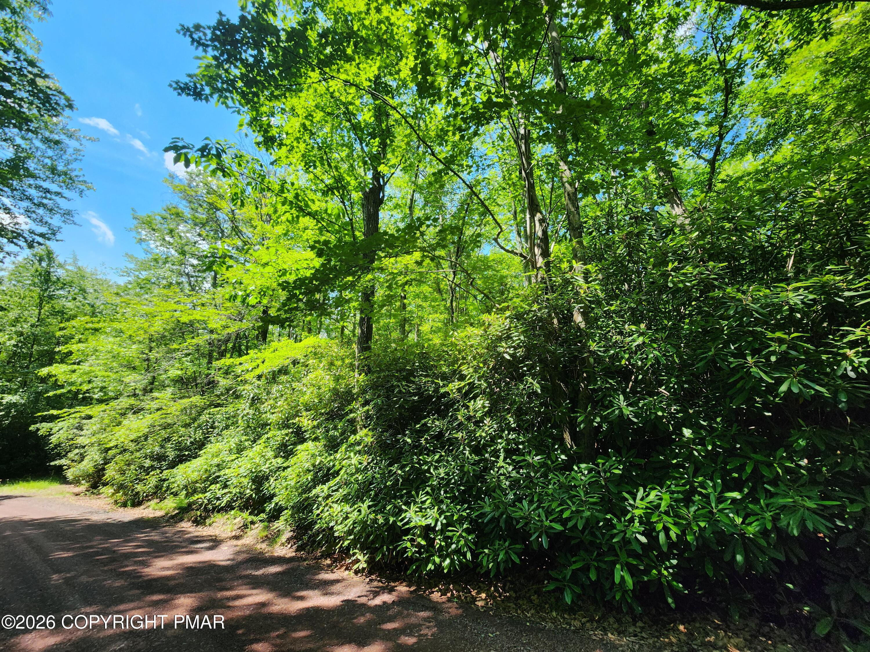 A48 Rhododendron Road Jim Thorpe, PA 18229 - Photo 1 of 3 Lot A48 Rhododendron Rd