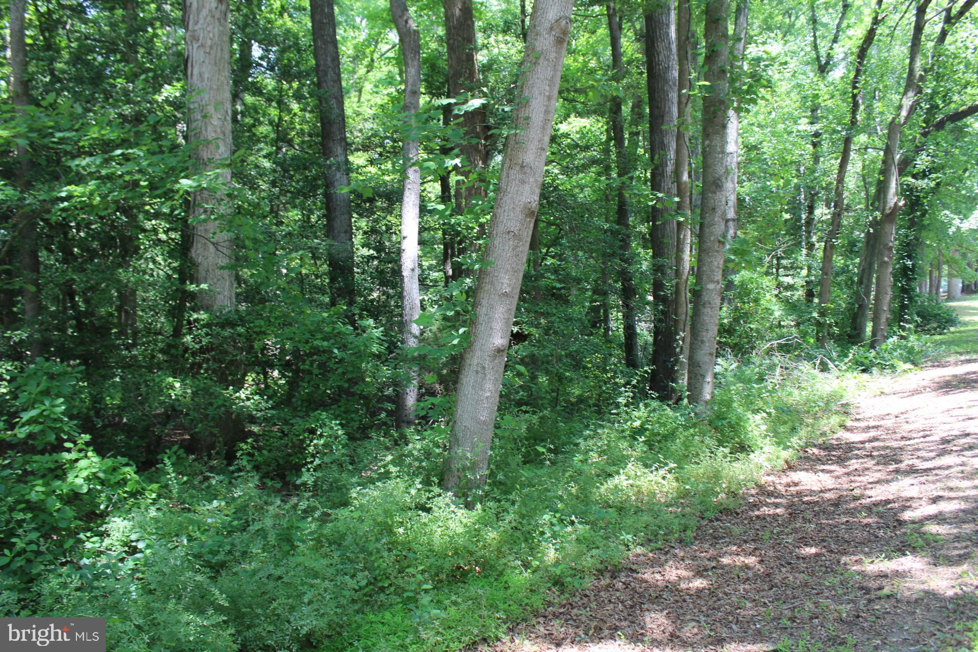 Lot 3 Jackson Road Salisbury, MD 21804 - Photo 17 of 20
