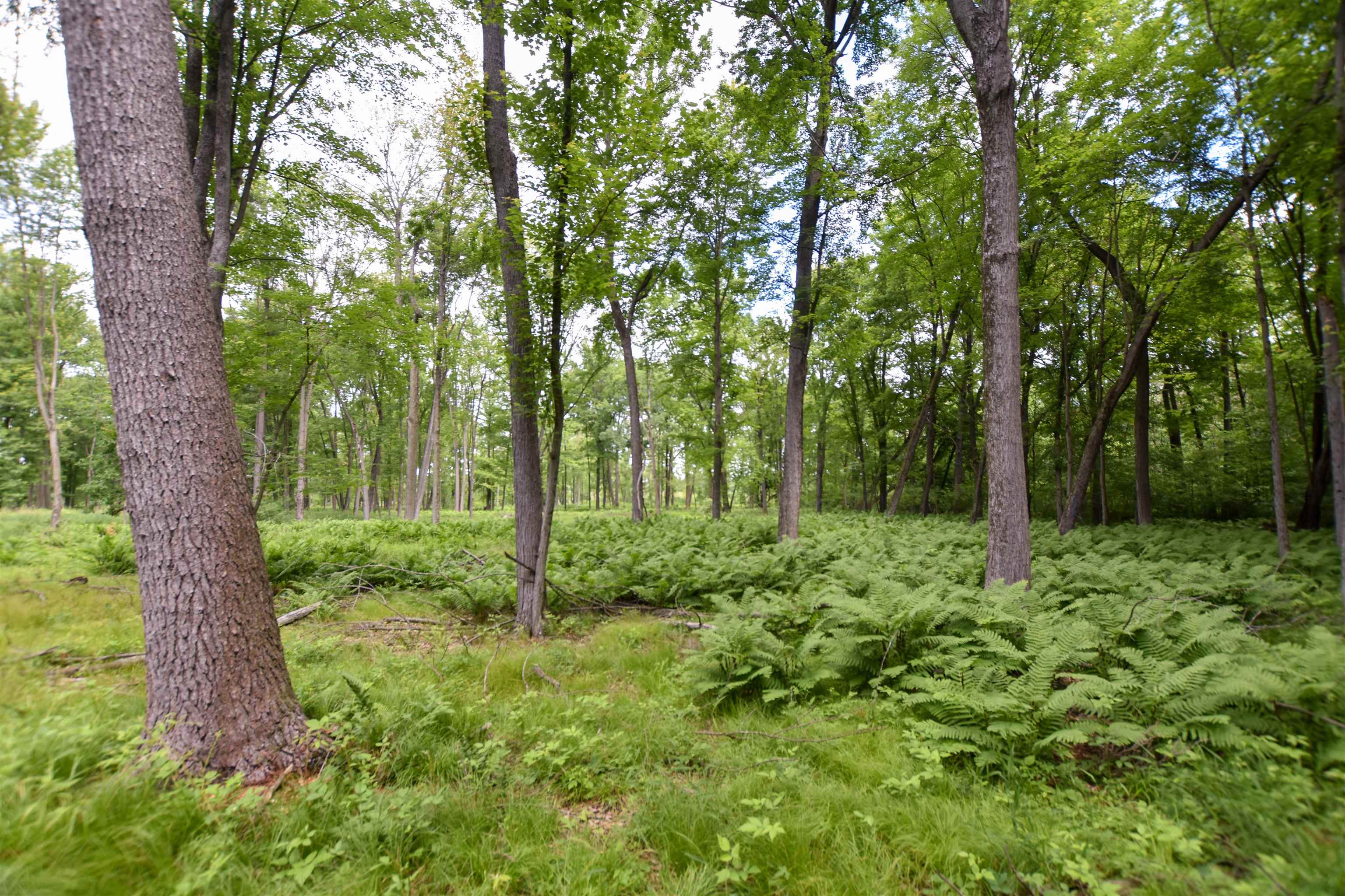 County Road Weyauwega, WI 54983 - Photo 6 of 72