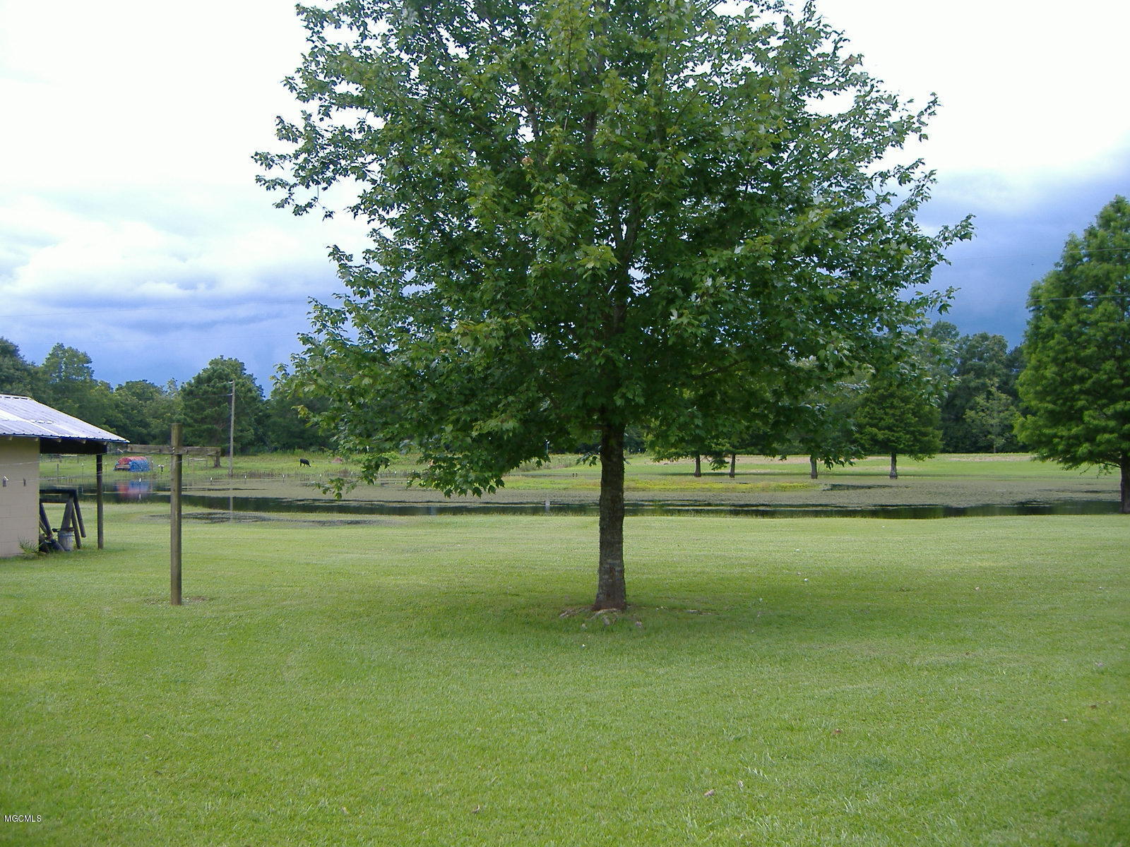 137 Rawls Road Perkinston, MS 39573 - Photo 10 of 26 DSCF4145