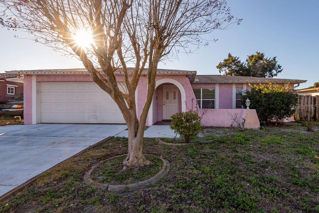 9635 Morehead Lane Port Richey, FL 34668 - Photo 1 of 1 Gallery Image 1