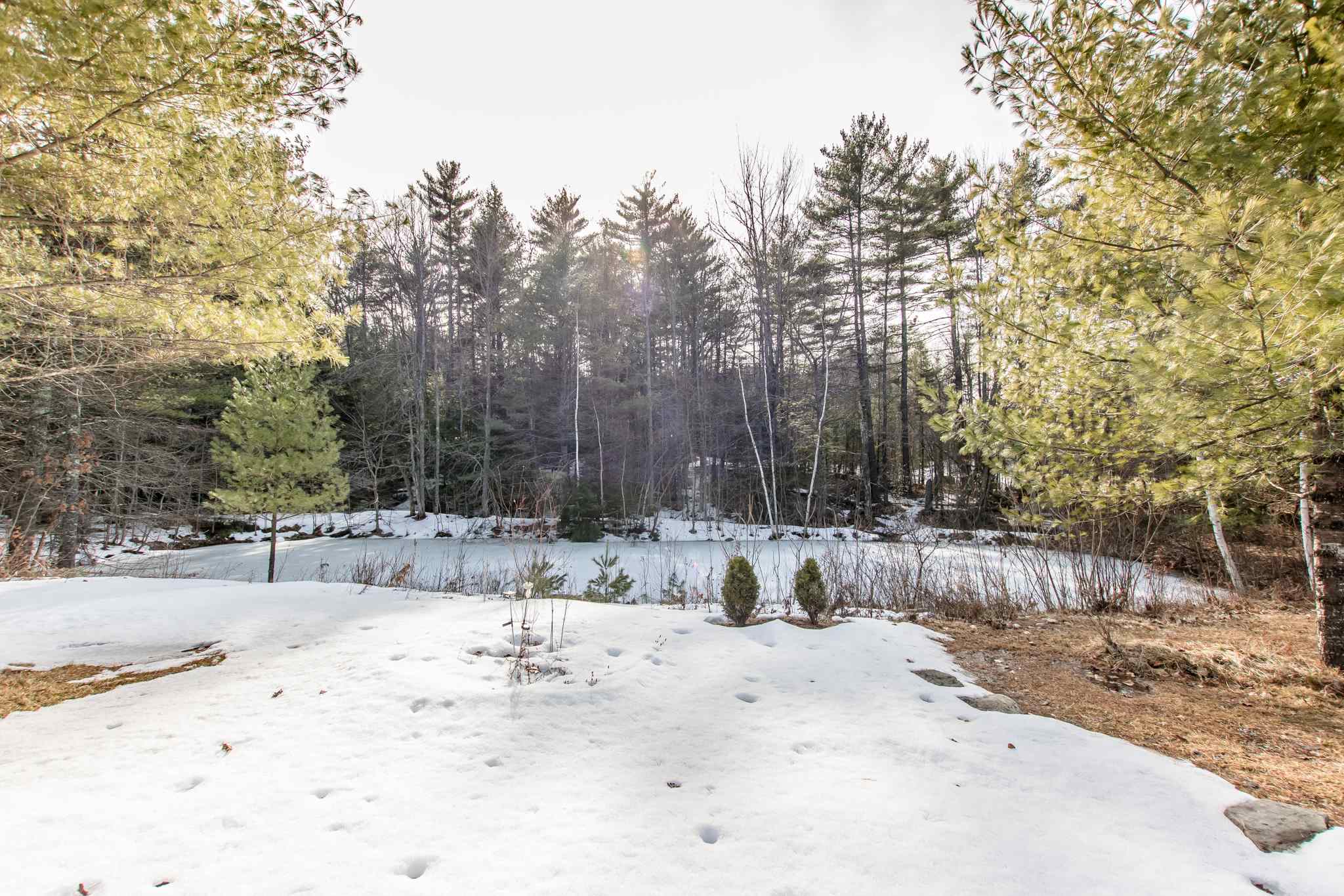 12 Orchards Road Wolfeboro, NH 03894 - Photo 38 of 39