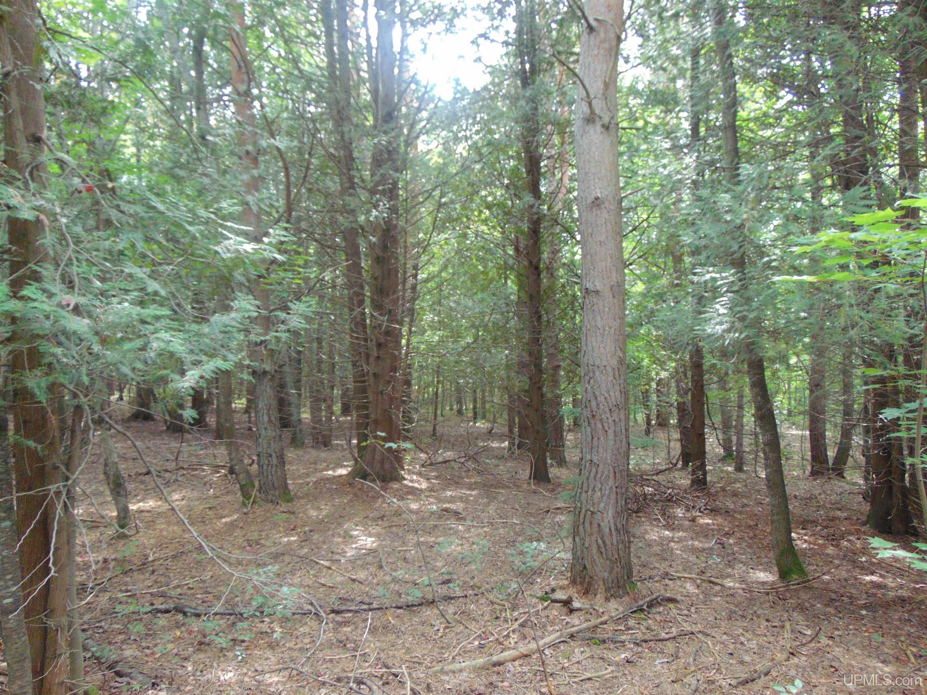 15 Coles Creek Road Atlantic Mine, MI 49905 - Photo 25 of 31