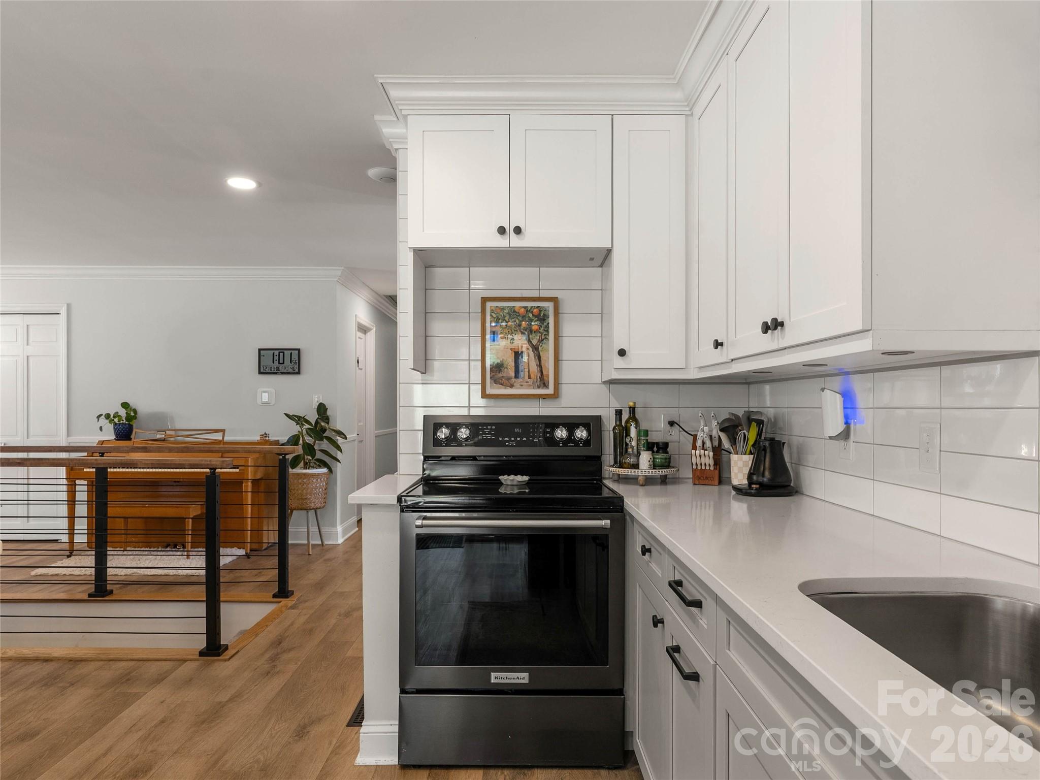 310 Case Street Columbus, NC 28722 - Photo 10 of 47