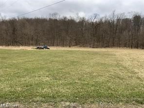 New Riley Road Dresden, OH 43821 - Photo 1 of 1 View of yard