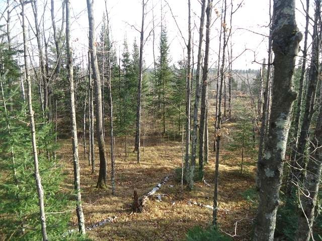 N10689 Tomptabo Road Gleason, WI 54435 - Photo 11 of 20 Gallery Image 11