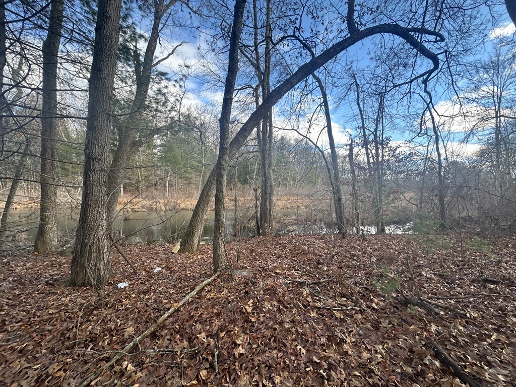 32 Sheep Pasture Road Southwick, MA 01077 - Photo 8 of 14 a backyard of a house with lots of green space