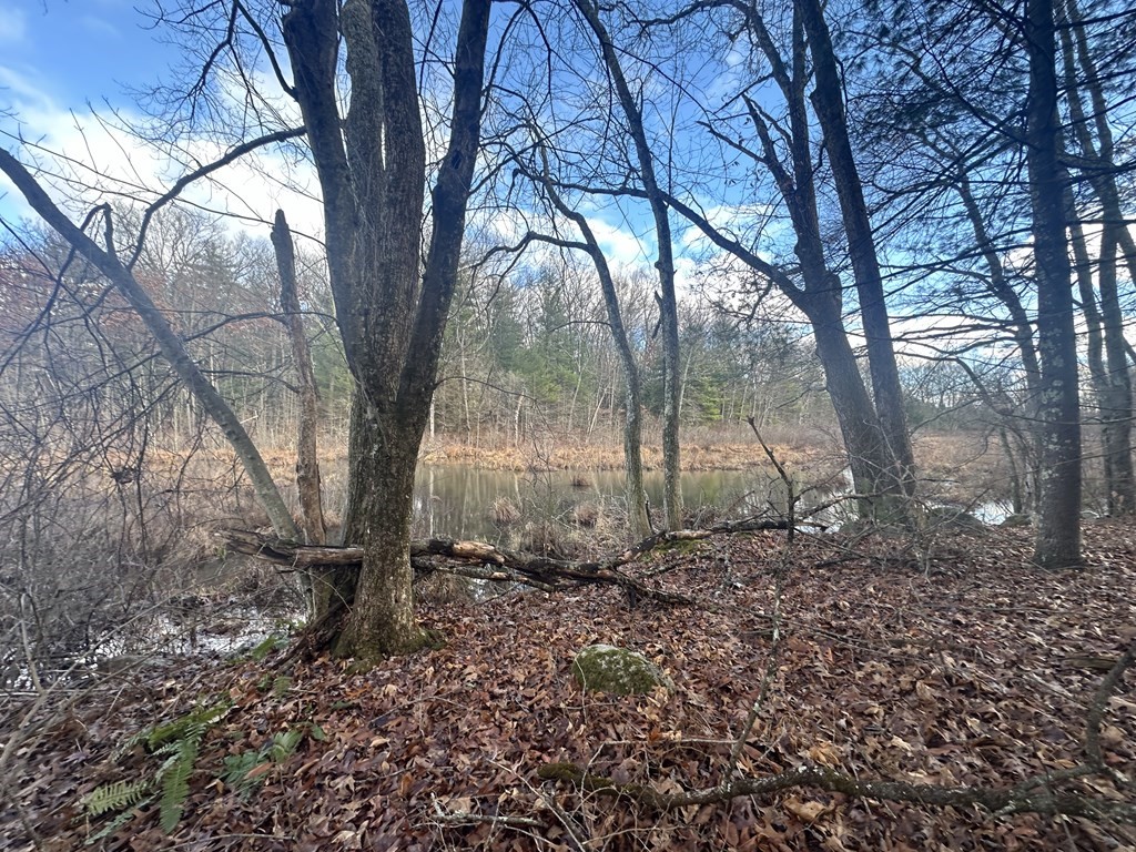 32 Sheep Pasture Road Southwick, MA 01077 - Photo 10 of 14 a backyard of a house with lots of green space