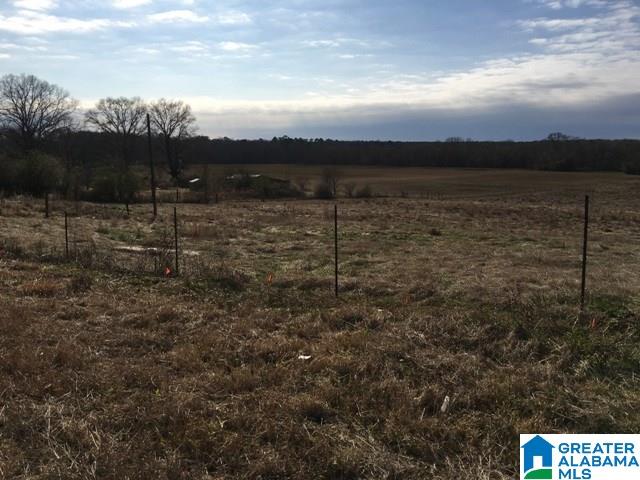 0 County Road 235, Unit 1 Alpine, AL 35014 - Photo 10 of 12