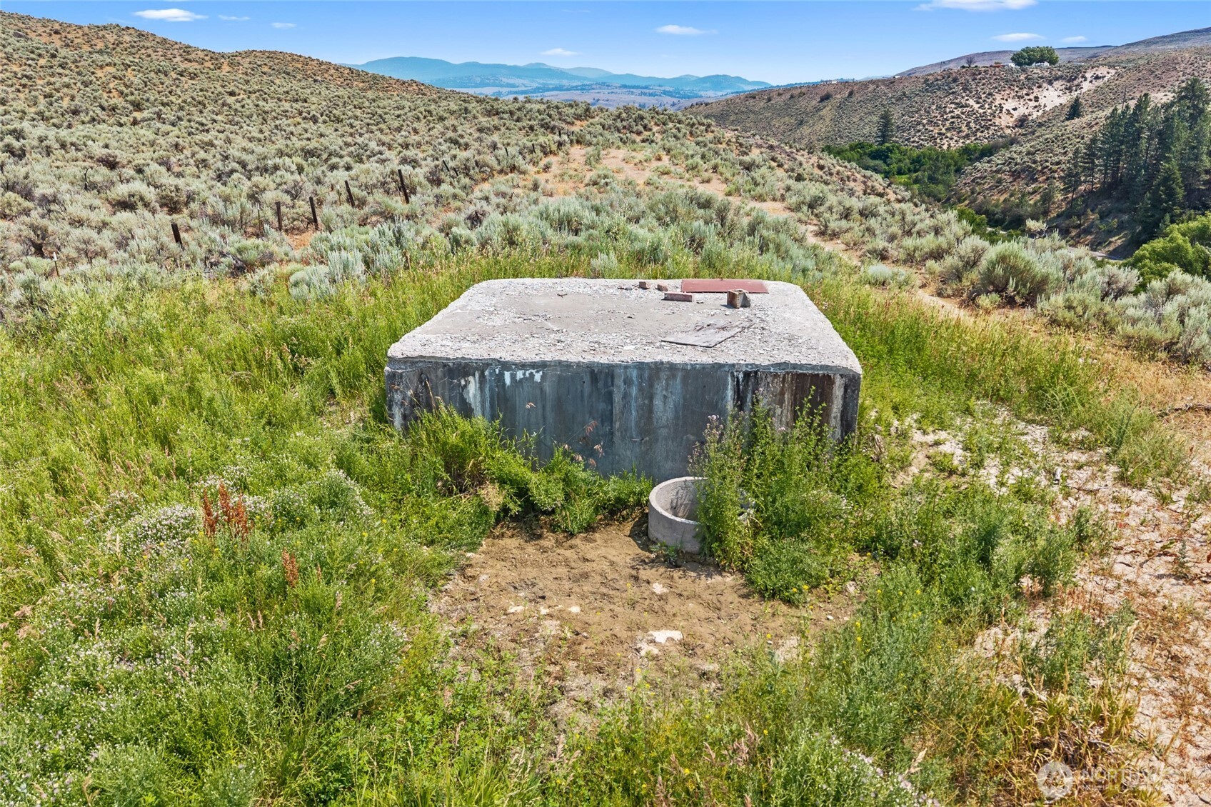 93 Warren Road Tonasket, WA 98855 - Photo 30 of 31 a aerial view of a house with a yard and large tree