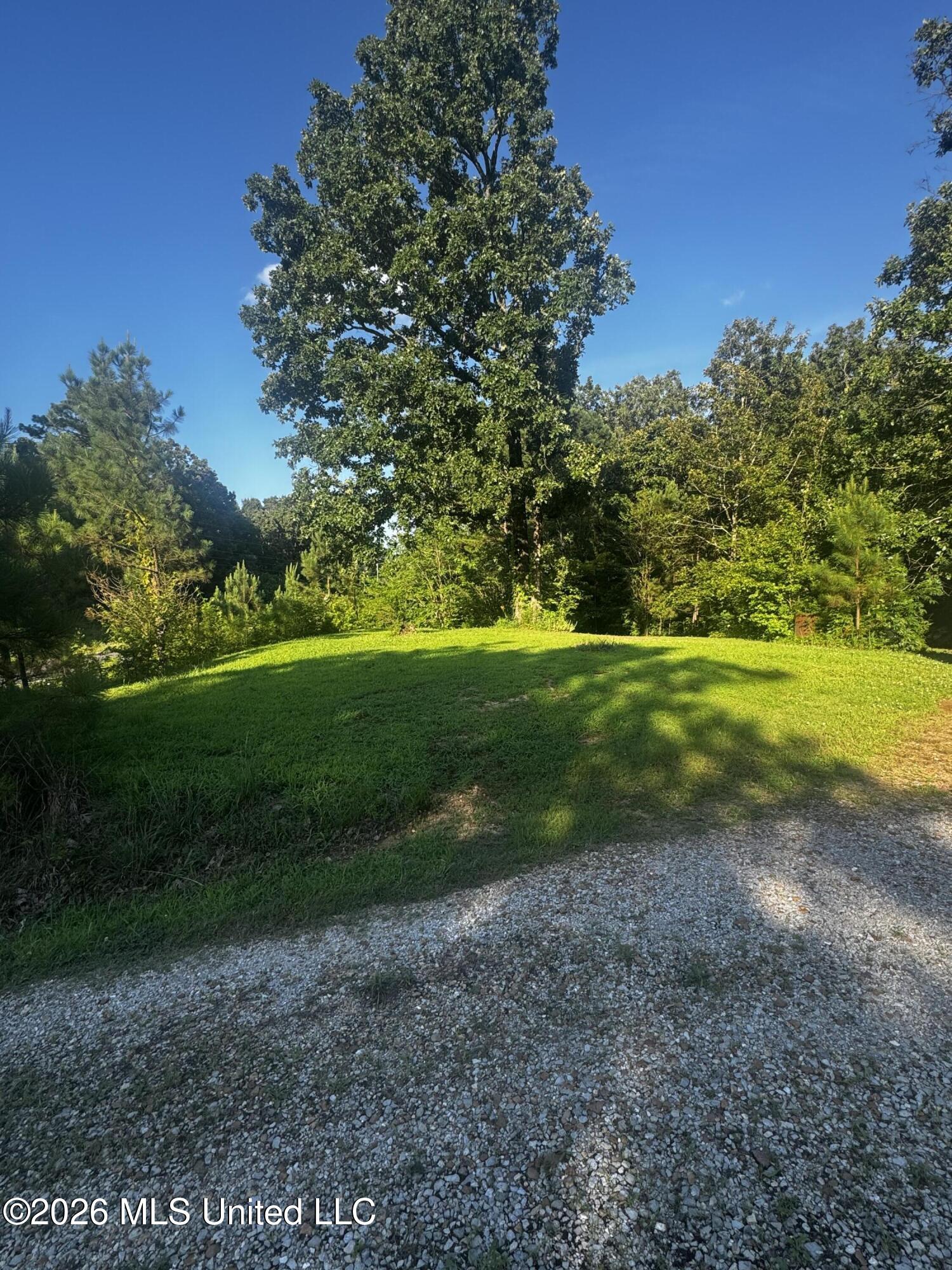 289 St Paul Road Byhalia, MS 38611 - Photo 4 of 18 IMG_5072