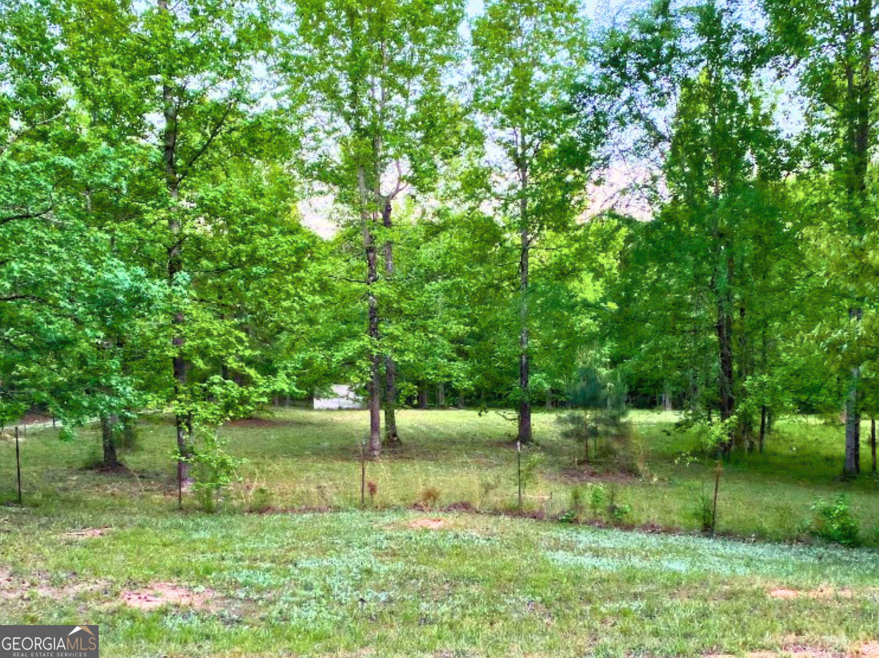 316 Biltmore Road Mansfield, GA 30055 - Photo 45 of 55