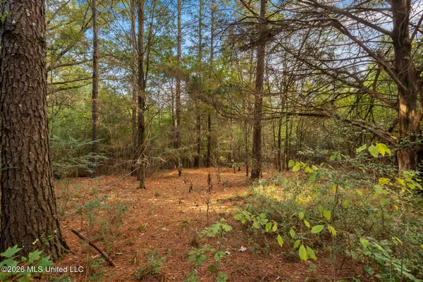 $380,000 | 2049 Cleary Road, Florence, MS 39073