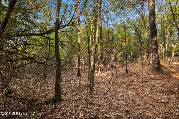 $380,000 | 2049 Cleary Road, Florence, MS 39073