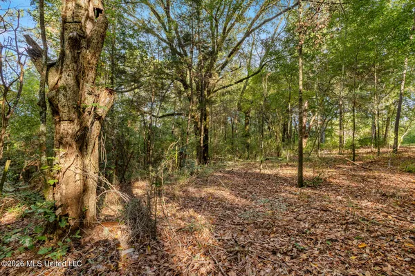 $380,000 | 2049 Cleary Road, Florence, MS 39073