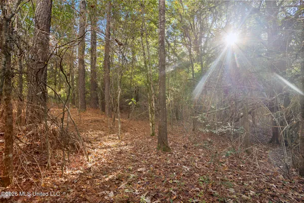 $380,000 | 2049 Cleary Road, Florence, MS 39073