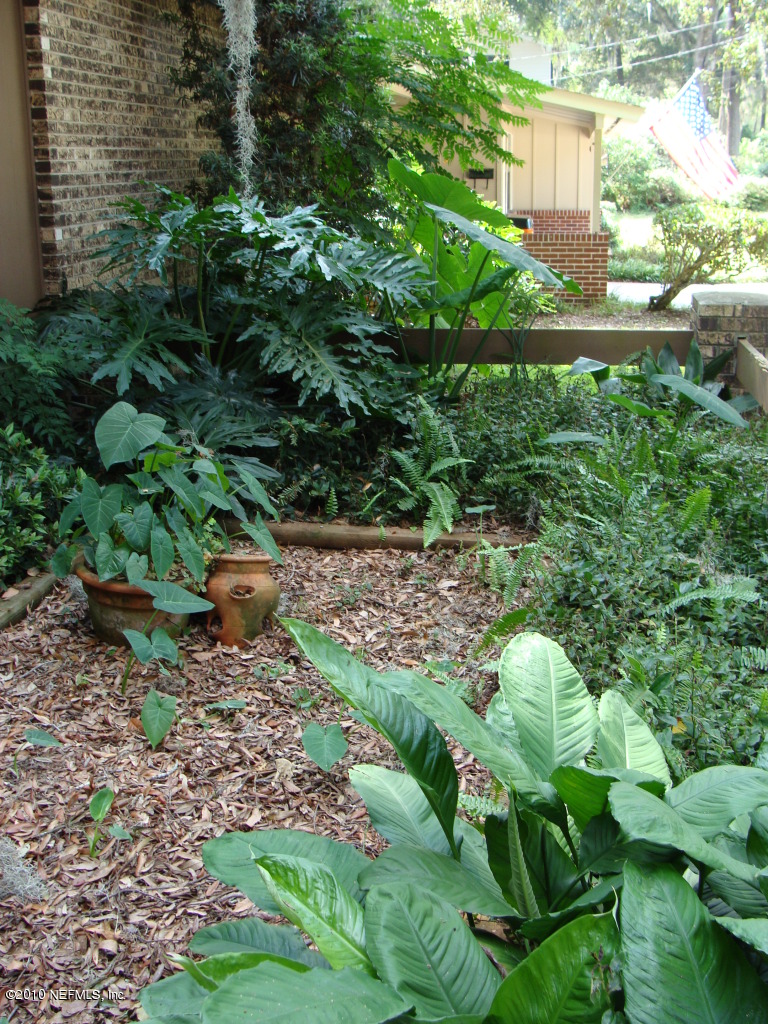 4537 Morris Road Jacksonville, FL 32225 - Photo 5 of 22 a backyard of a house with lots of green space