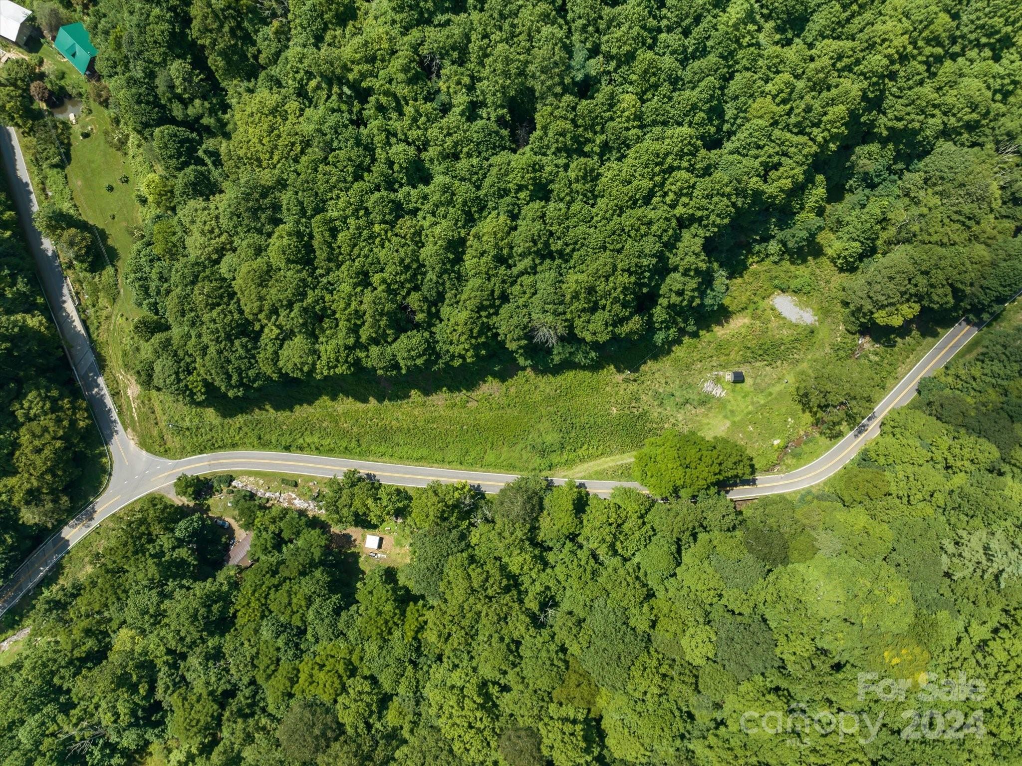 Tbd Patsy Crk Road Burnsville, NC 28714 - Photo 11 of 26