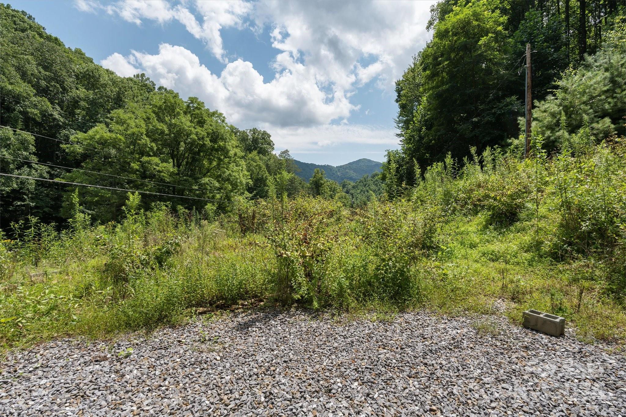 Tbd Patsy Crk Road Burnsville, NC 28714 - Photo 12 of 26