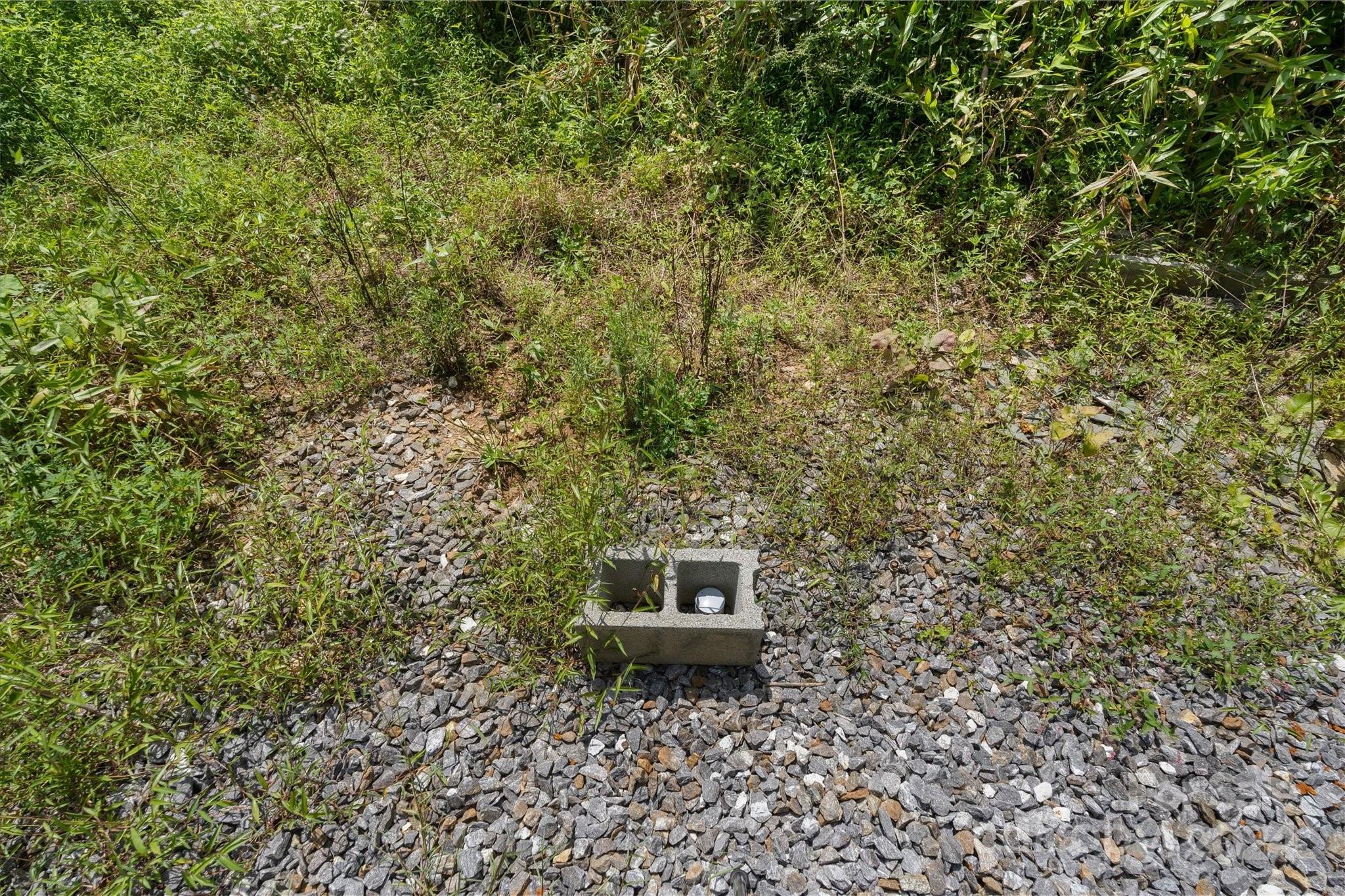 Tbd Patsy Crk Road Burnsville, NC 28714 - Photo 13 of 26