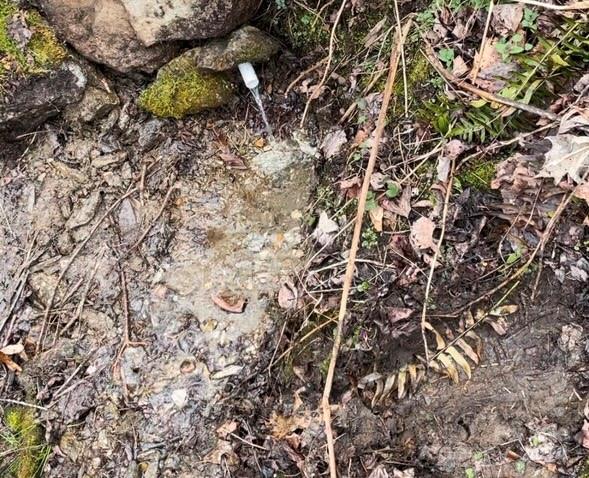 Tbd Patsy Crk Road Burnsville, NC 28714 - Photo 14 of 26