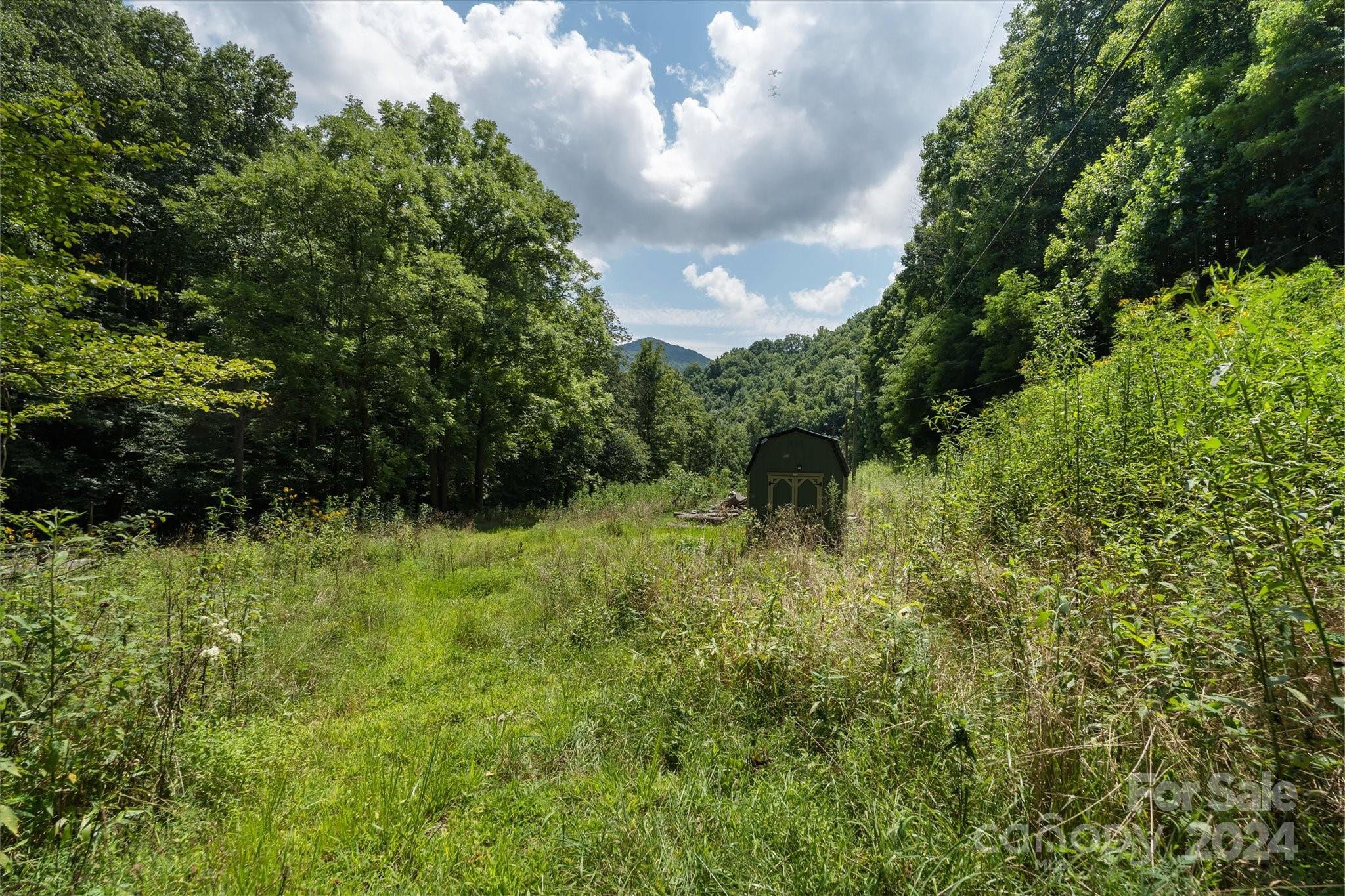 Tbd Patsy Crk Road Burnsville, NC 28714 - Photo 16 of 26