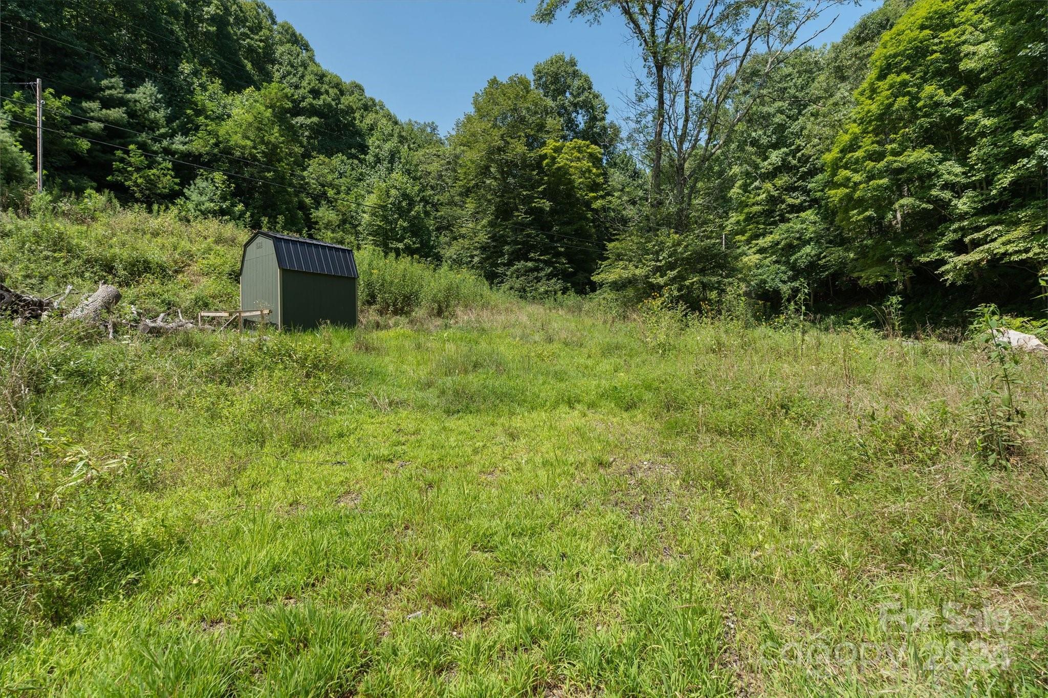 Tbd Patsy Crk Road Burnsville, NC 28714 - Photo 17 of 26