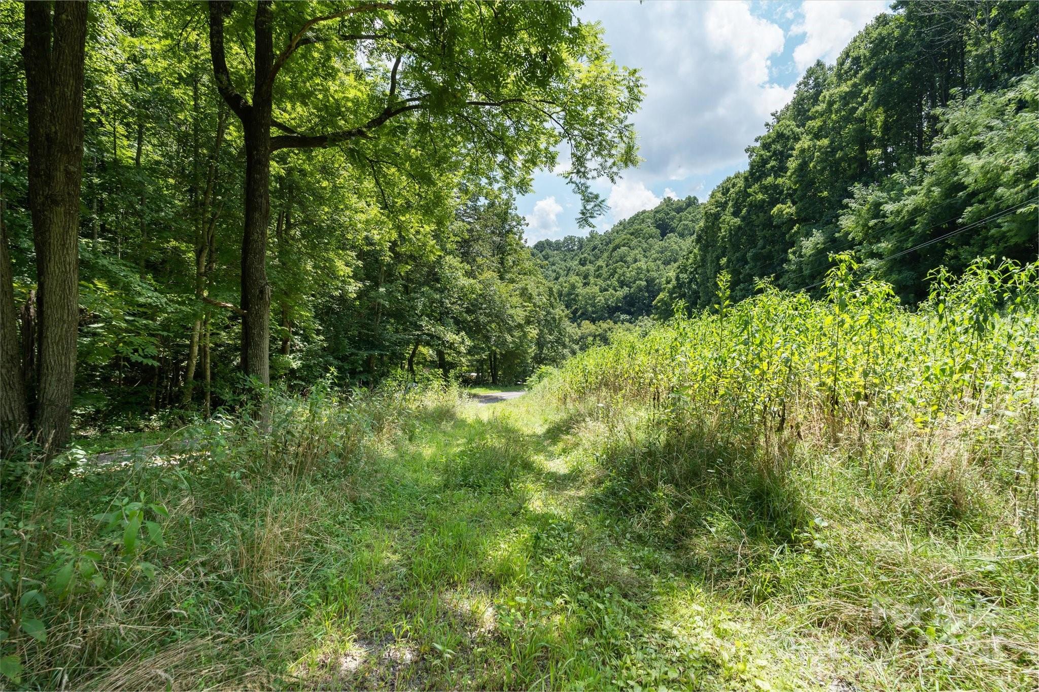 Tbd Patsy Crk Road Burnsville, NC 28714 - Photo 18 of 26