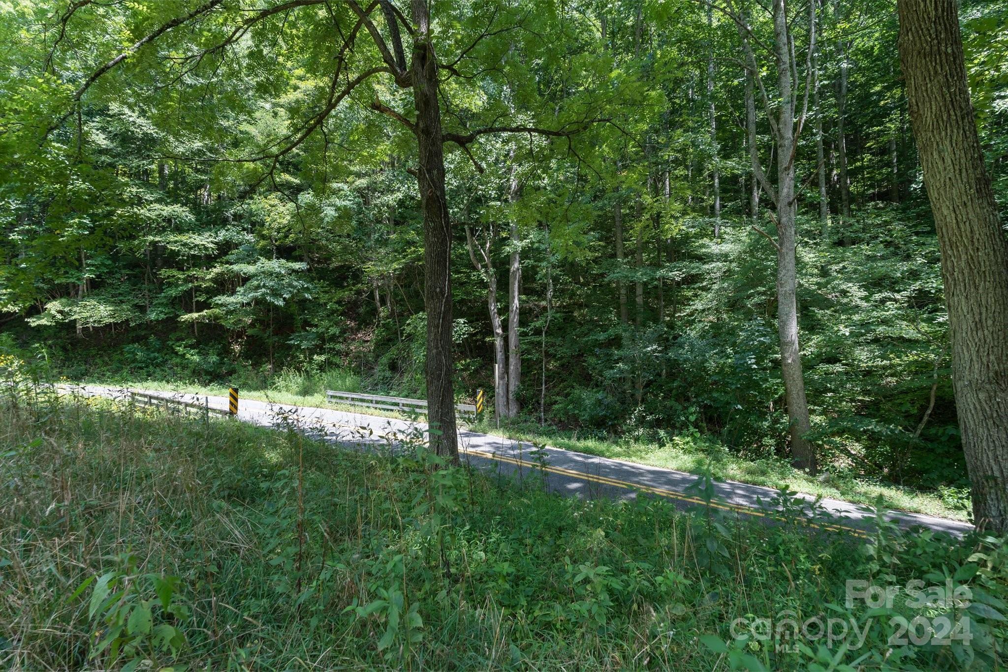 Tbd Patsy Crk Road Burnsville, NC 28714 - Photo 19 of 26