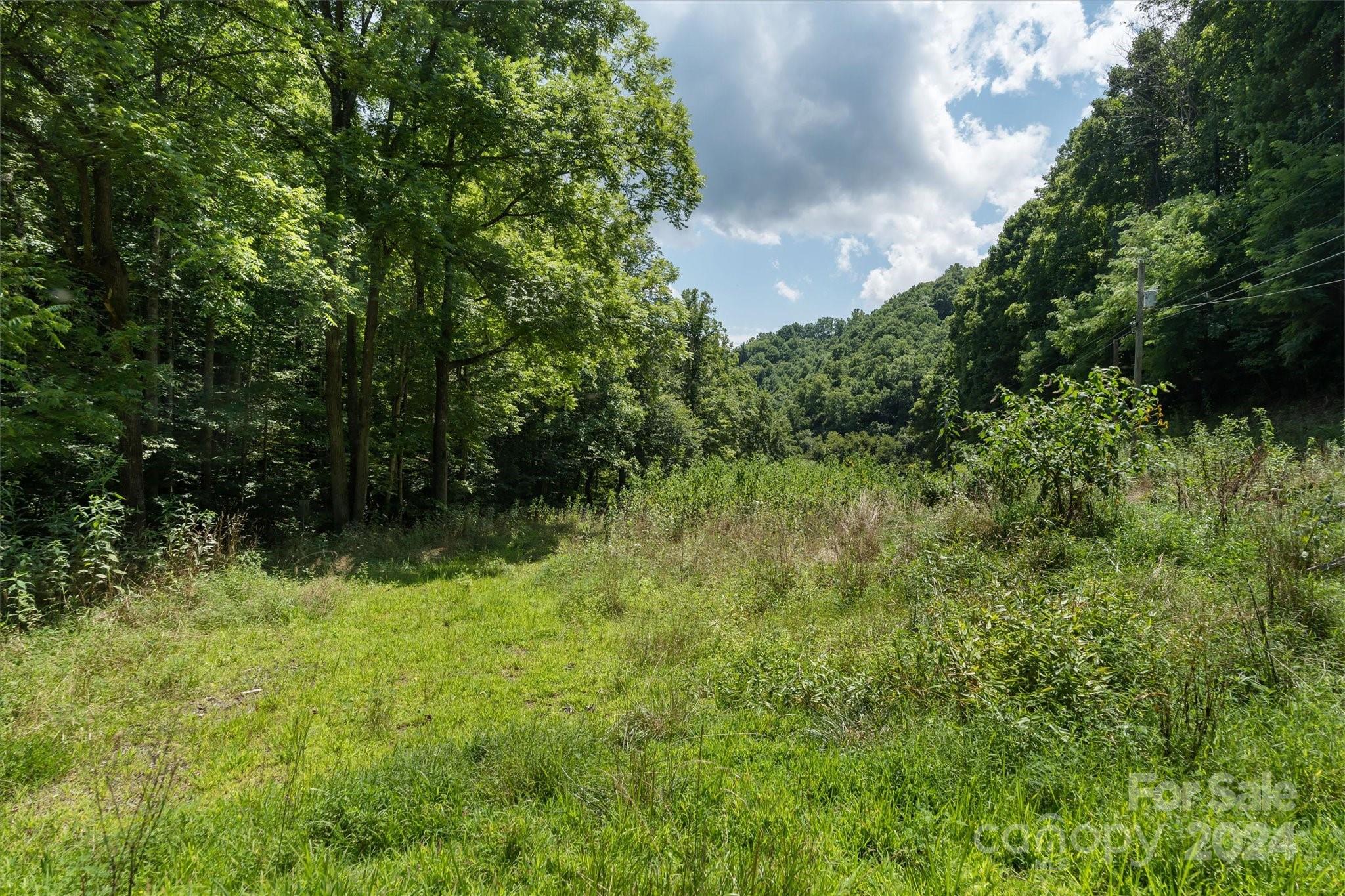 Tbd Patsy Crk Road Burnsville, NC 28714 - Photo 21 of 26