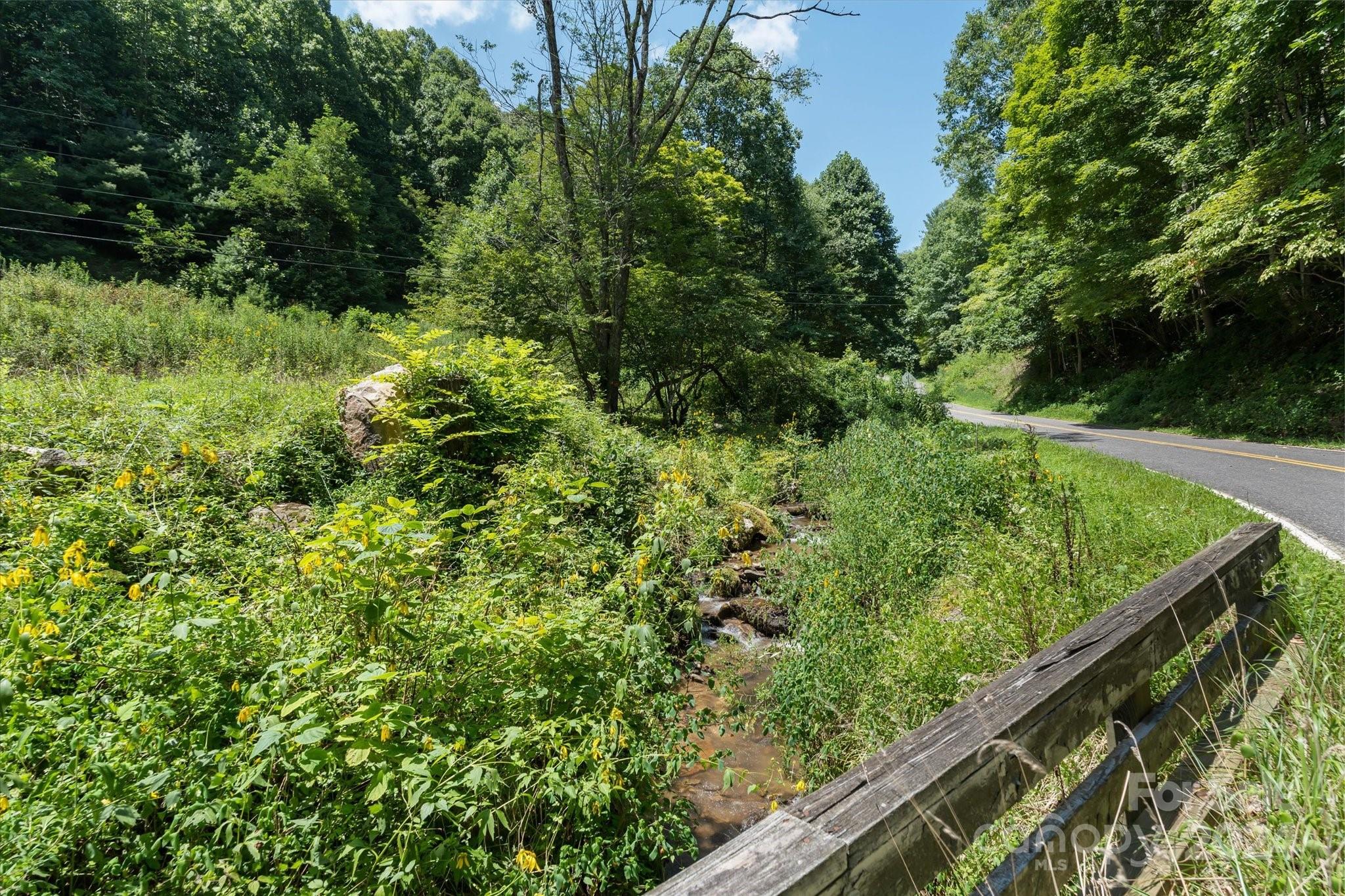 Tbd Patsy Crk Road Burnsville, NC 28714 - Photo 22 of 26