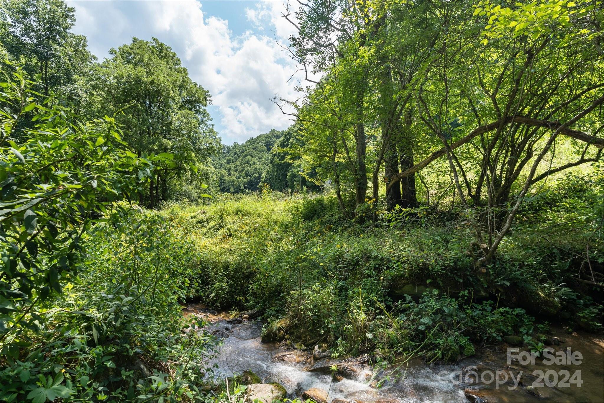 Tbd Patsy Crk Road Burnsville, NC 28714 - Photo 23 of 26