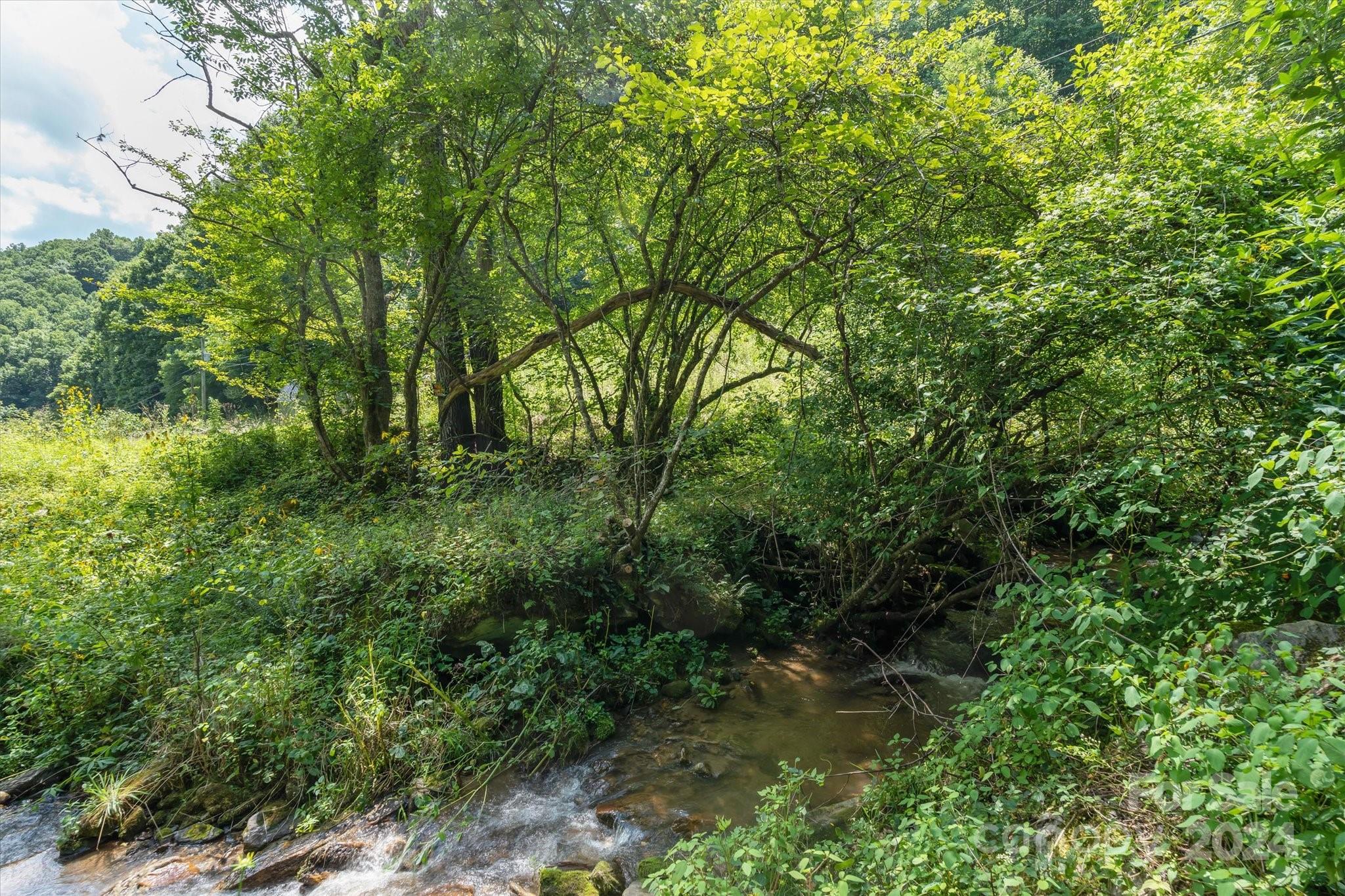 Tbd Patsy Crk Road Burnsville, NC 28714 - Photo 24 of 26