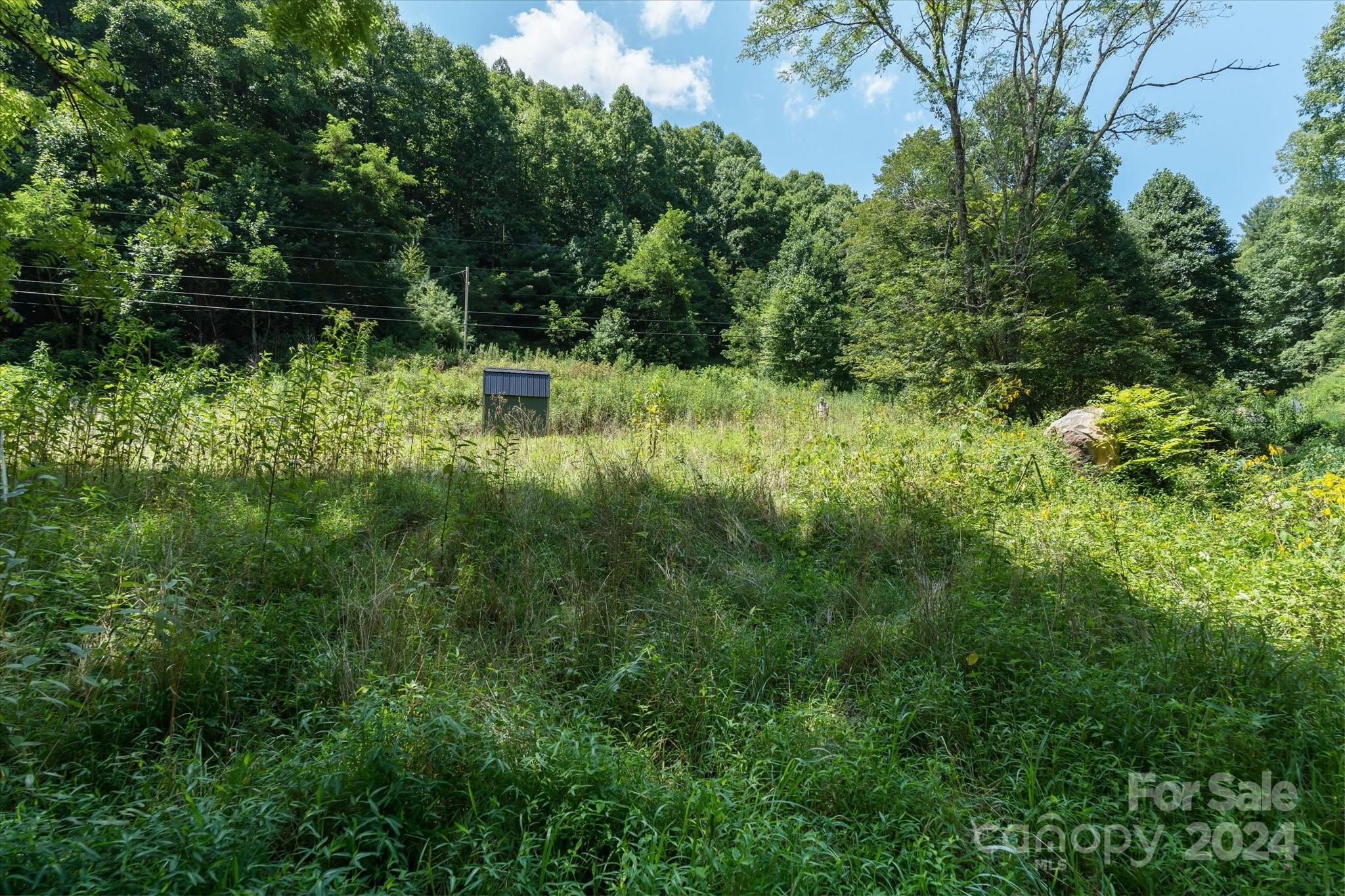 Tbd Patsy Crk Road Burnsville, NC 28714 - Photo 25 of 26