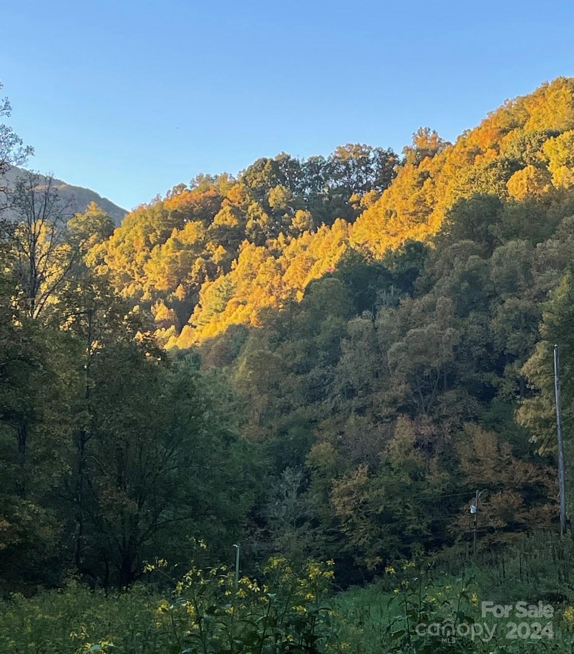 Tbd Patsy Crk Road Burnsville, NC 28714 - Photo 26 of 26