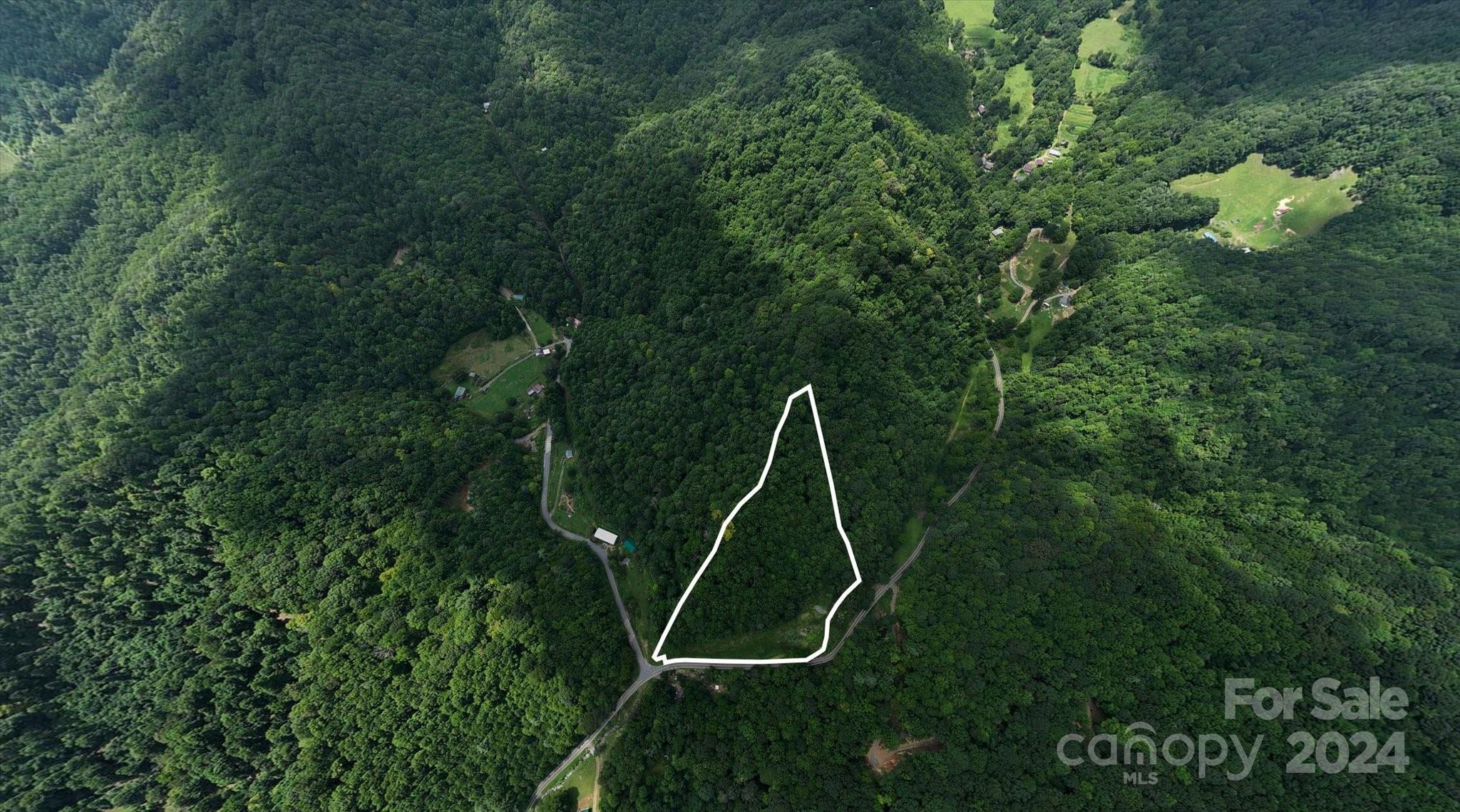 Tbd Patsy Crk Road Burnsville, NC 28714 - Photo 3 of 26